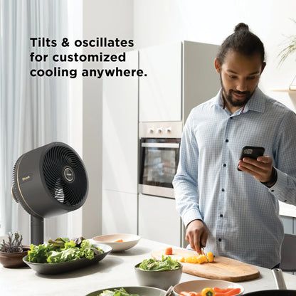 2-in-1 Cordless Misting Fan