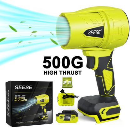 PowerFlow Portable Cleaning Blaster